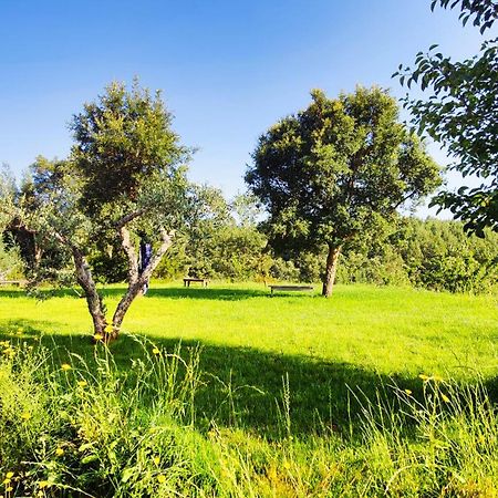 Casa Florestal - Pure Nature Cabins Fatela 外观 照片
