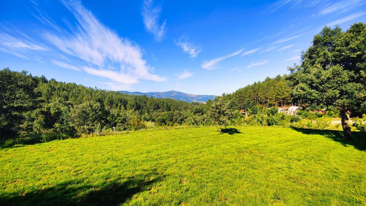 Casa Florestal - Pure Nature Cabins Fatela 外观 照片