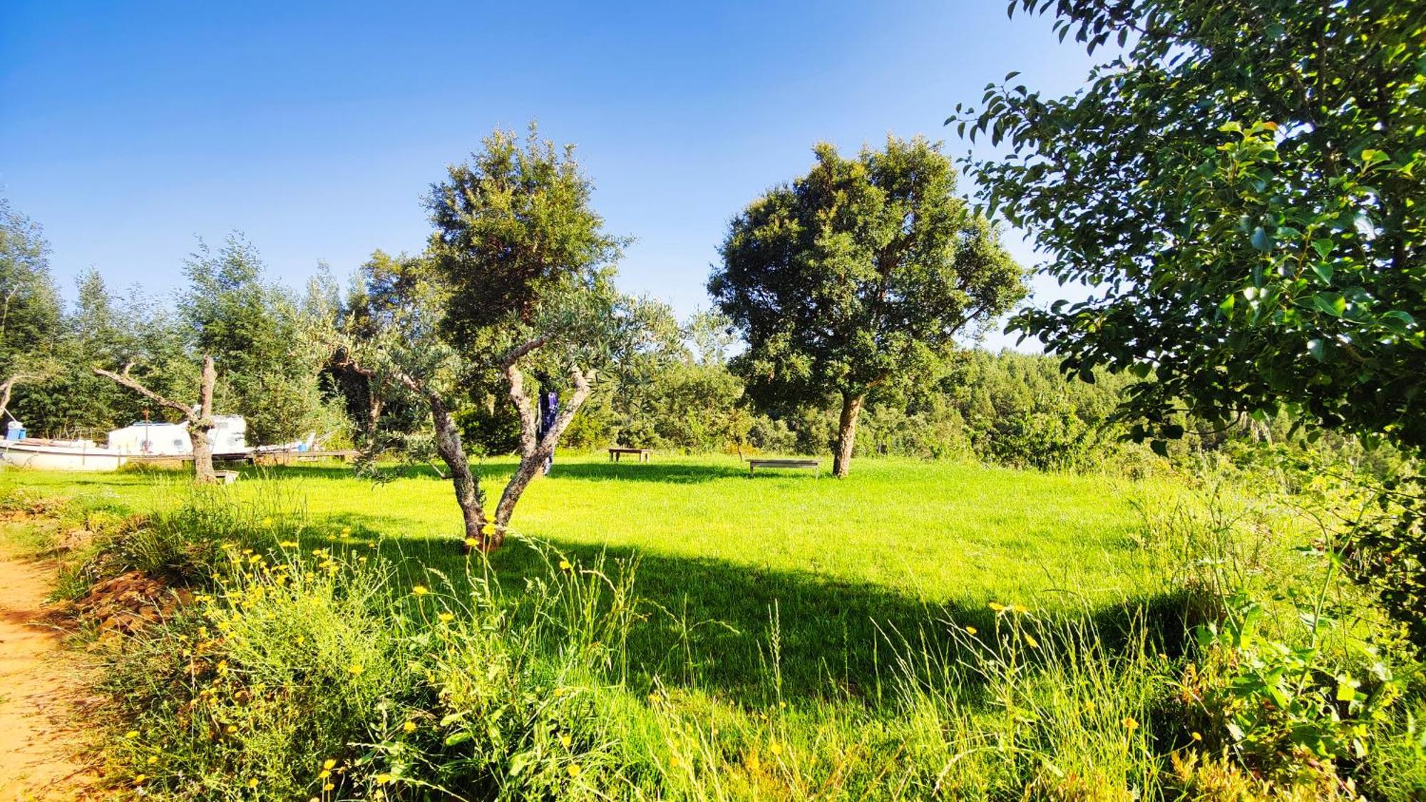 Casa Florestal - Pure Nature Cabins Fatela 外观 照片